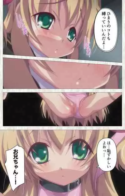 Zettai Junshu Kyousei ☆ Kozukuri Kyokashou kanzenhan!! kanzenhan