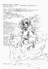 [Burning -Soul] Touhou hon 2 (Touhou)