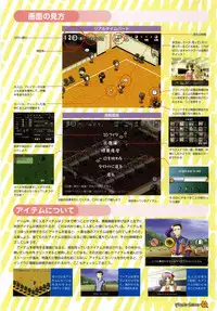 Maple Colors Fanside - Mediax Mook 238