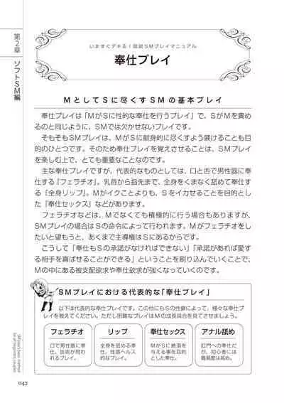 いますぐデキる 図説SMプレイマニュアル