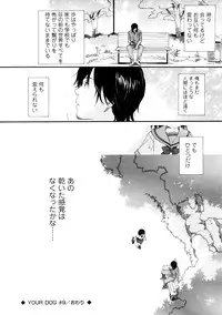 [Sekiya Asami] YOUR DOG