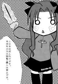 (C73) [Gemou the Cat (Yukako)] Fakers (Fate/stay night)