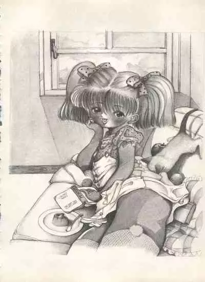 Shin Bishoujo Shoukougun 4 Houou hen