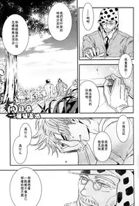 [JOJO][JC]Stelle[CN]