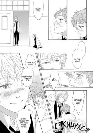 The Daydreamer Falls in Love