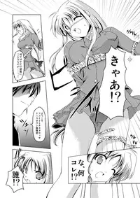 (C74) [TRICKorTREAT (Kagura Tsukune)] InSulT II (Mahou Shoujo Lyrical Nanoha)