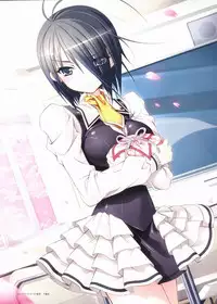 Sakura Sakura Visual Fan Book