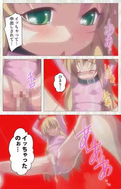 Zettai Junshu Kyousei ☆ Kozukuri Kyokashou kanzenhan!! kanzenhan