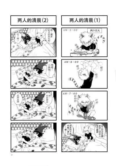 Shèngchū bào māo bǐjìběn