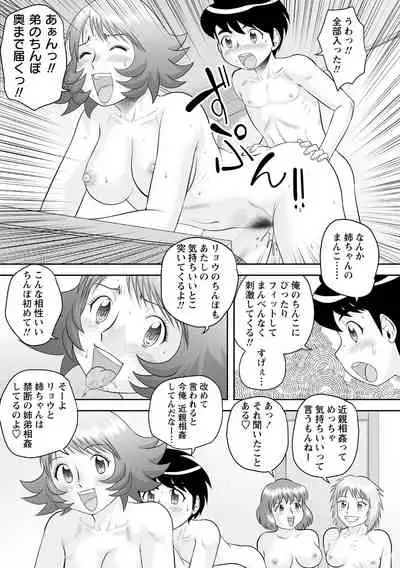 Fudeoroshi Harem Dairankou