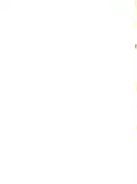 [Zubizu But (Fururin, C7 Side)] Zubizu Bat (Various)