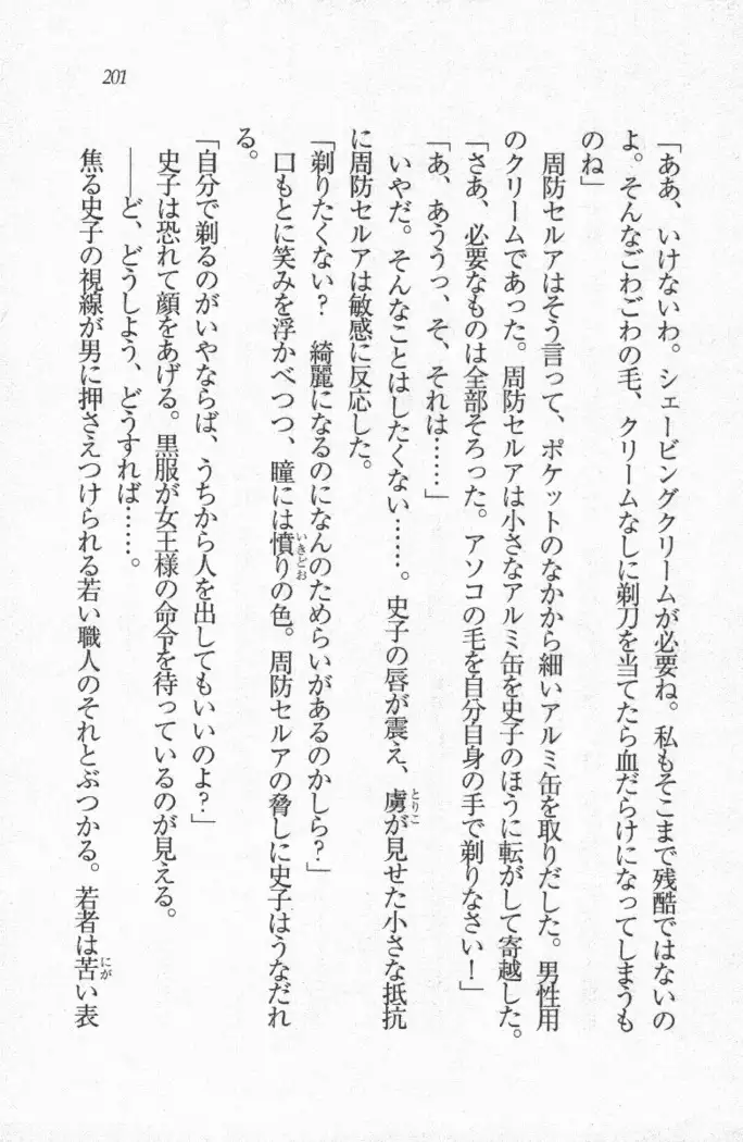 メイド喫茶 猫の隠れ家