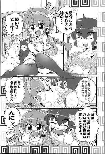 Akane ga Ranma ♀ ni Zokkon na Ken