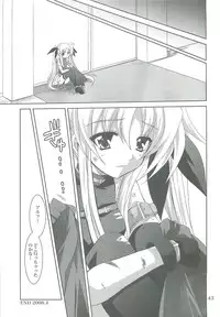(COMIC1☆2) [PLUM (Kanna)] Mahou Shoujo Magical SEED LOGIC (Mahou Shoujo Lyrical Nanoha)