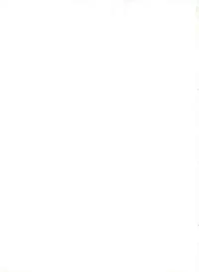 Shin Bishoujo Shoukougun 4 Houou hen