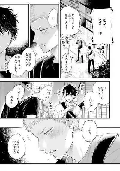 Senpai, Danjite Koi de wa! Brush Up