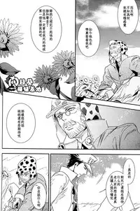 [JOJO][JC]Stelle[CN]