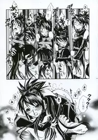 (C66) [Suika Dokei (Suika Koron)] Tsuki ga Michitara (Tenchu)