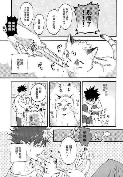 (Yougen Kinkyuu SUMMER 2021) [CANARY (bi)] FUSHI TO NEKO (Jujutsu Kaisen) [Chinese]
