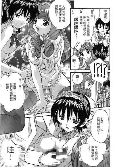 The Flower In Paris 2