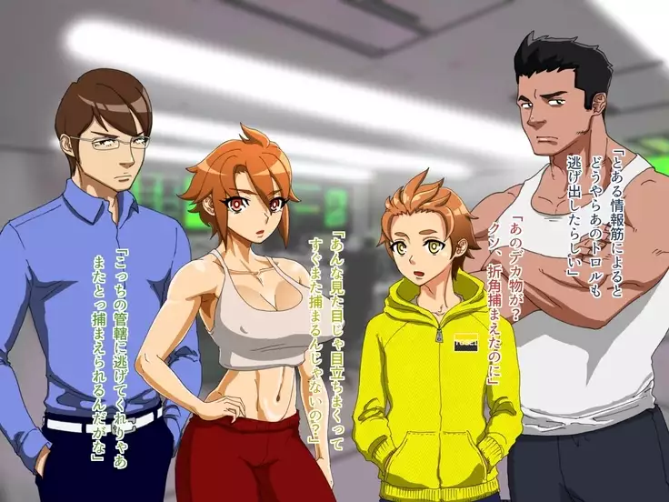 TS Sentai Hero Hibiki