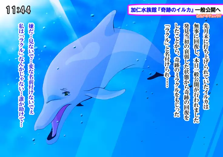 iruka no suuki na unmei