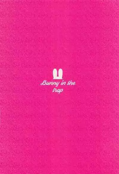 Bunny in the trap