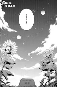 [JOJO][JC]Stelle[CN]