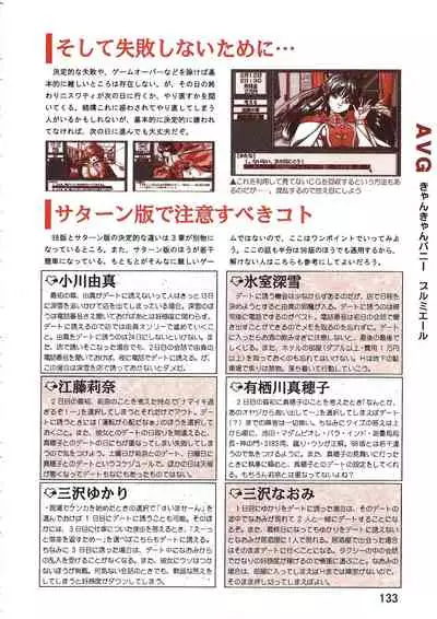 PC Bishoujo Software Strategy Book: Strategy King 2