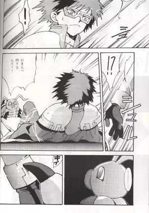 Sayonara Digimon Kaiser R