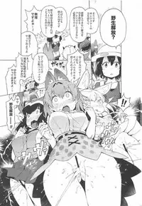 [Service Heaven (Hayashi)] Kedamono Friends Surprise (Kemono Friends)