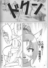 (C67) [ARCHENEMY (Kasumi Ryo, Kamin)] Spezialsitat (Final Fantasy XI)