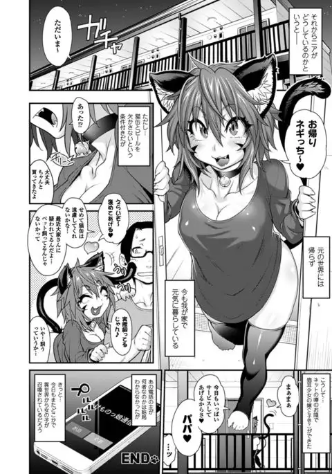 COMIC Unreal 2016-06 Vol. 61 10th Anniversary Bonus Contents DVD