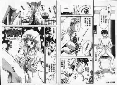 Chousa File H - Investigation File