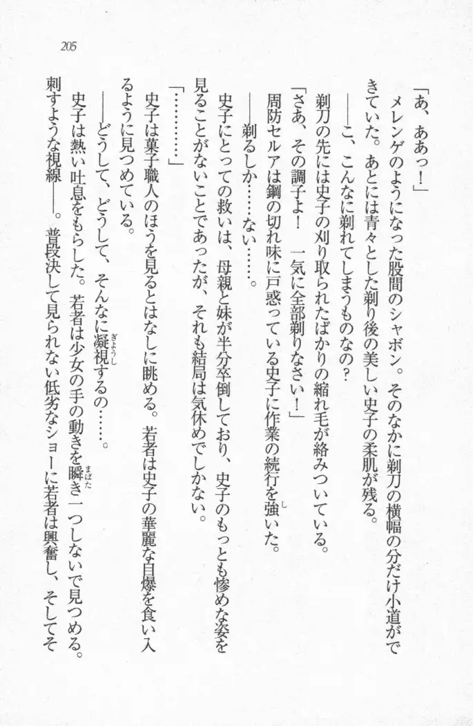 メイド喫茶 猫の隠れ家