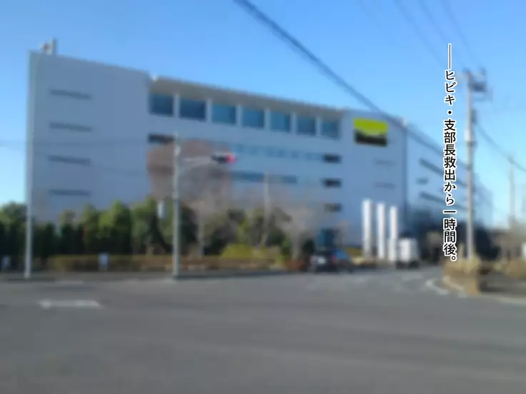 TS Sentai Hero Hibiki