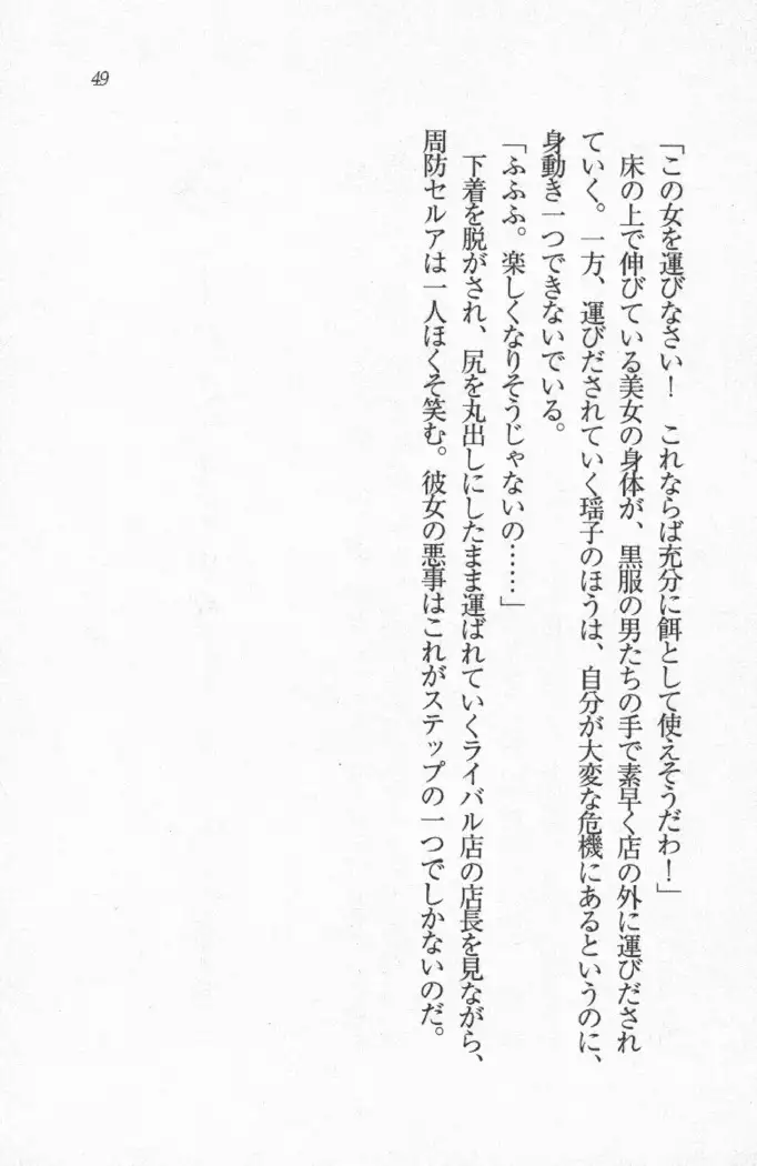 メイド喫茶 猫の隠れ家