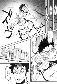 COMIC Megastore-H 2010-11