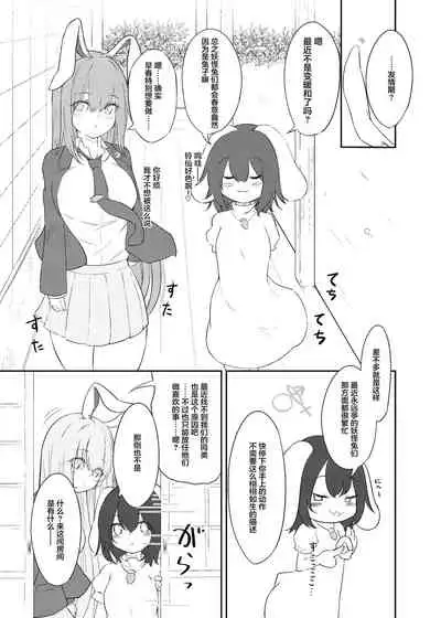 [Yomeiri Usagi (Usaka Ray)] Hatsujou Usagi to Fudeoroshi (Touhou Project) [Chinese] [Digital]