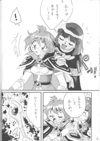 [Ginmomodou (Mita Satomi)] SLAYERS ADULT 12 (Slayers)
