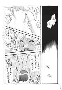 [Ginmomodou (Mita Satomi)] SLAYERS ADULT 13 (Slayers) [Digital]