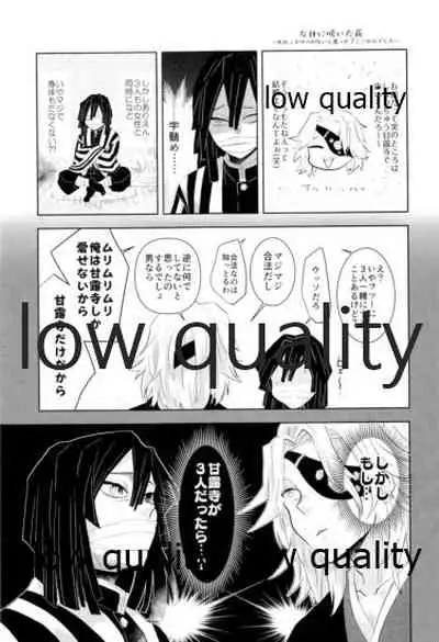 ObaMitsu Sairokushuu Kogarekou