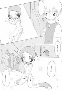 (C59) [Cheese-iri Kamaboko-dou (Mako Cube)] Hikari Mania (Digimon Adventure 02)