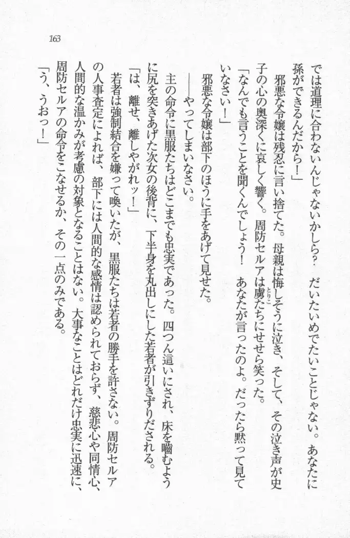 メイド喫茶 猫の隠れ家