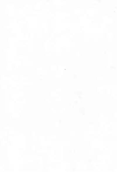 (C66) [Tenny Le Tai (Various)] Loli Neko HARD II