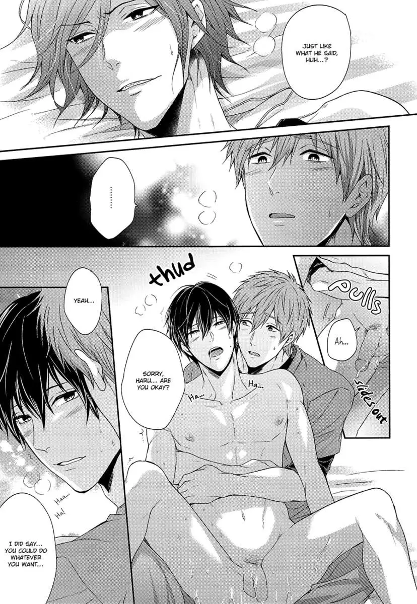 Please Forgive This Bad Dolphin