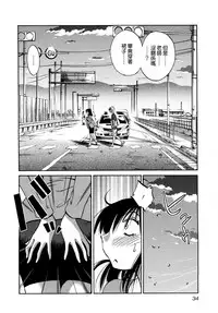 [TsuyaTsuya] Rakujitsu no Panthos 3 [Chinese] [无毒汉化组]