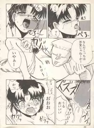 Shin Bishoujo Shoukougun 4 Houou hen