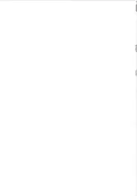 [Shinkai Hikou (Okino Ryuuto)] sweet prickle (Nisekoi) [Digital]