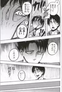 (C86) [Onjire (Tamy)] ONGRE2013 (Shingeki no Kyojin)